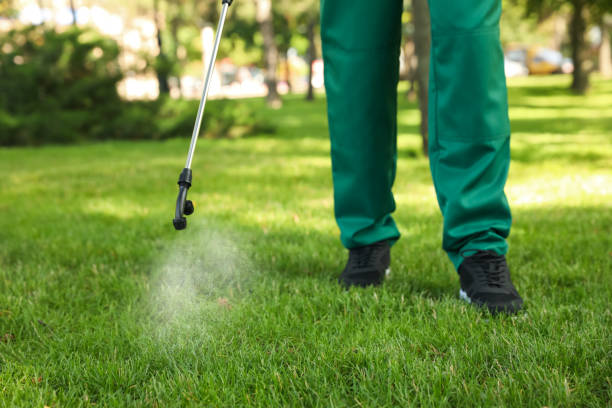 Best Pest Removal Services  in Lennox, CA