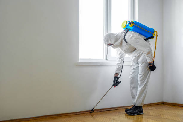 Best Mosquito Control Services  in Lennox, CA