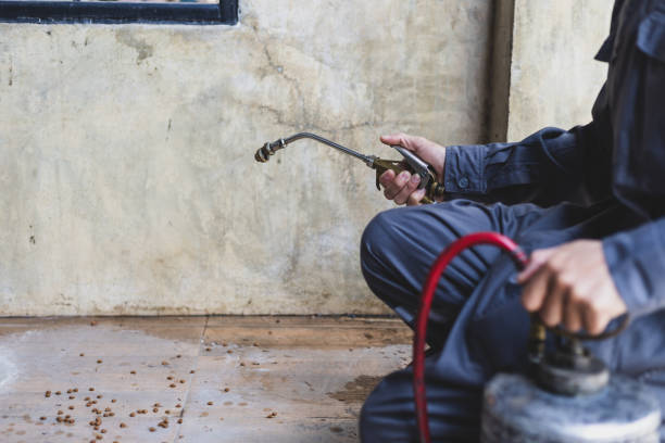Best Pest Prevention Services  in Lennox, CA